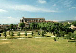 Basilica of Sainte-Marie-Madeleine (Saint-Maximin)