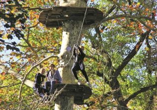 Tree climbing and jumping