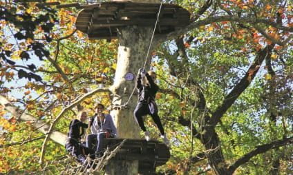 Tree climbing and jumping