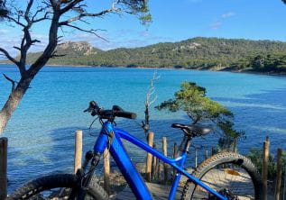 Bike Rental - Porquerolles